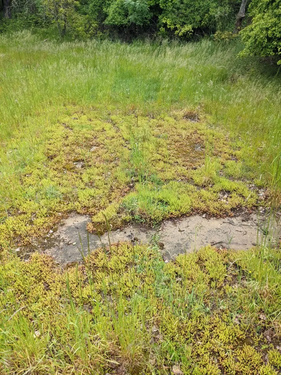 Stimmungsbild Hausfundament 